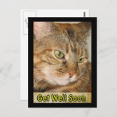 Katze geht bald wieder gut postkarte (Vorne/Hinten)