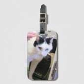 Katze Gepäckanhänger (Vorderseite Vertikal)