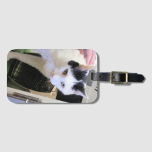 Katze gepäckanhänger