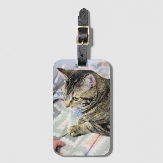 Katze Gepäckanhänger (Vorderseite Vertikal)