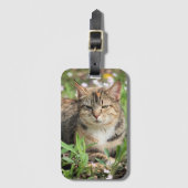 Katze Gepäckanhänger (Vorderseite Vertikal)