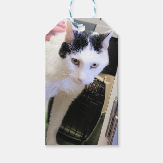 Katze Geschenkanhänger (Vorderseite)