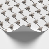 Katze Geschenkpapier (Ecke)