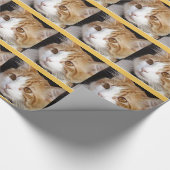 Katze Geschenkpapier (Ecke)
