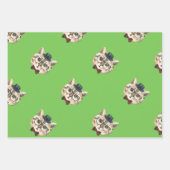 KATZE GESCHENKPAPIER SET (Vorderseite 3)