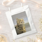 Katze Geschenktütchen (Ausgeschnitten)