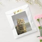 Katze Geschenktütchen (Versiegelt)