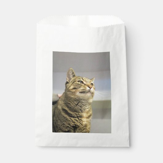 Katze Geschenktütchen (Vorderseite)