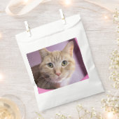 Katze Geschenktütchen (Ausgeschnitten)