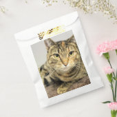 Katze Geschenktütchen (Versiegelt)