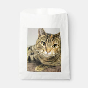 Katze Geschenktütchen