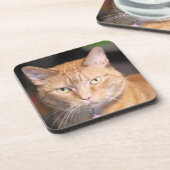 Katze Getränkeuntersetzer (Linke Seite)