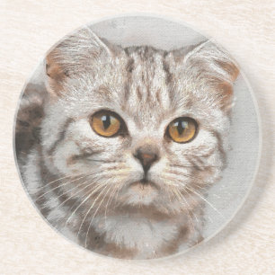 Katze Getränkeuntersetzer