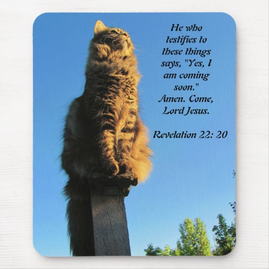 Katze, gewartet für Jesus Mousepad (Vorne)