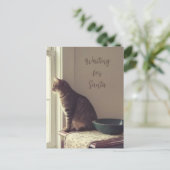 Katze Gewartet für Santa Feiertagspostkarte (Stehend Vorderseite)