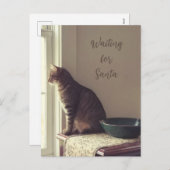 Katze Gewartet für Santa Feiertagspostkarte (Vorne/Hinten)