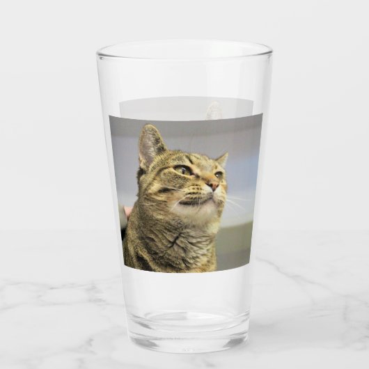 Katze Glas (Rückseite)