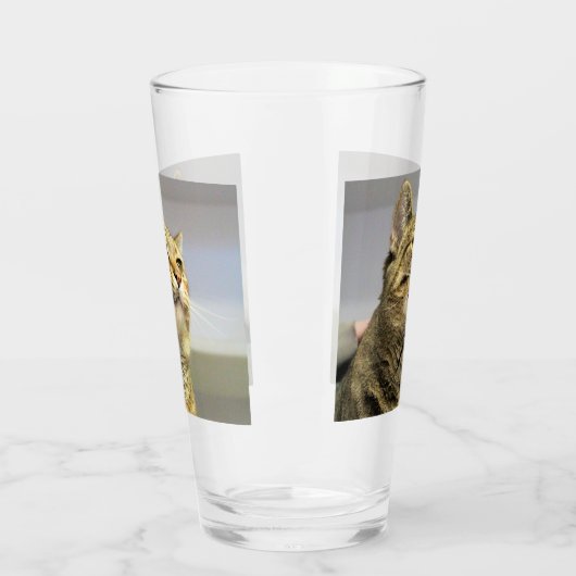 Katze Glas (Links)