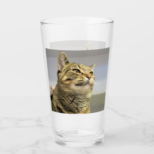 Katze Glas (Vorderseite)