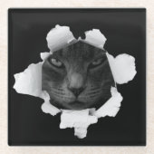 Katze Glasuntersetzer (Vorderseite)
