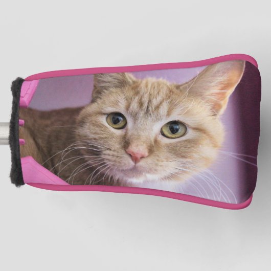Katze Golf Headcover (Vorderseite)
