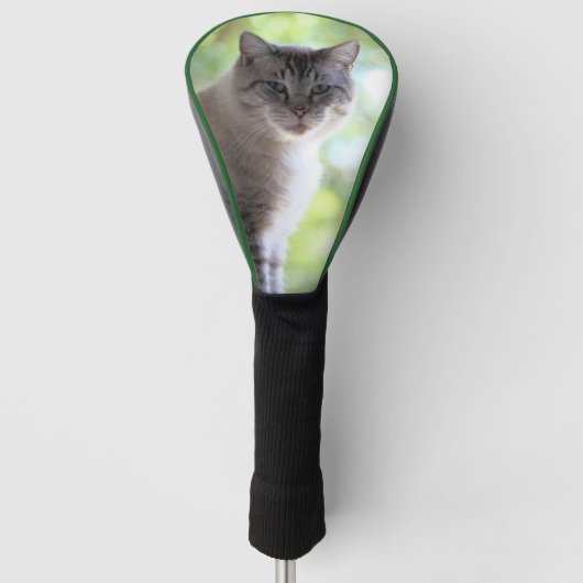 Katze Golf Headcover (Vorderseite)