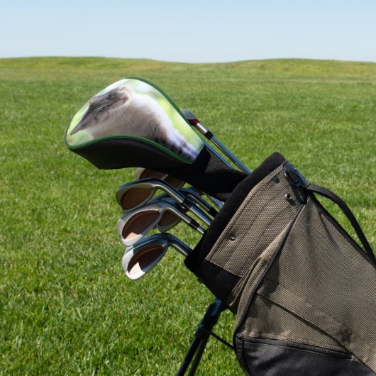 Katze Golf Headcover (In SItu)