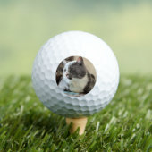 Katze Golfball (Insitu T-Shirt)