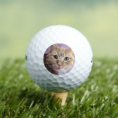 Katze Golfball (Insitu T-Shirt)