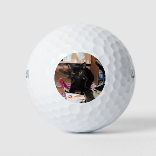 Katze Golfball (Vorderseite)