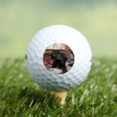 Katze Golfball (Insitu T-Shirt)