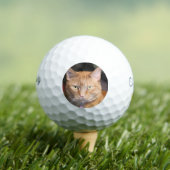 Katze Golfball (Insitu T-Shirt)