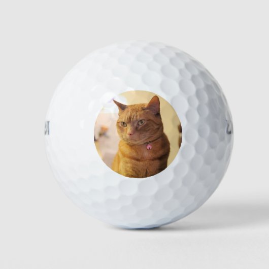 Katze Golfball (Vorderseite)