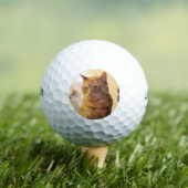 Katze Golfball (Insitu T-Shirt)