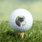 Katze Golfball (Insitu T-Shirt)