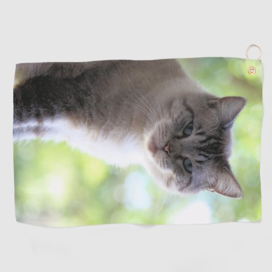 Katze Golfhandtuch (Horizontal)