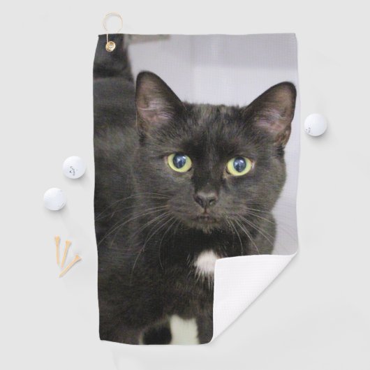 Katze Golfhandtuch (Insitu)