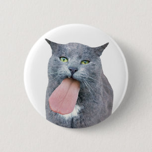 Katze Got deine Zunge? Button