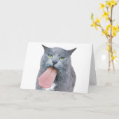 Katze Got deine Zunge? Karte (Gelbe Blume)