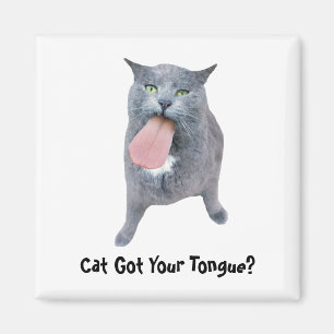 Katze Got deine Zunge? Magnet