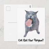 Katze Got deine Zunge? Postkarte (Vorne/Hinten)