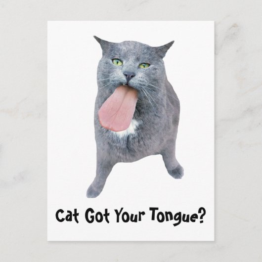 Katze Got deine Zunge? Postkarte (Vorderseite)