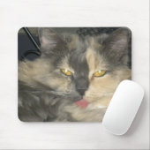 Katze got Ihre Zunge Mousepad (Mit Mouse)