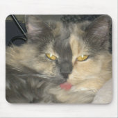 Katze got Ihre Zunge Mousepad (Vorne)