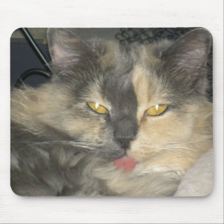 Katze got Ihre Zunge Mousepad