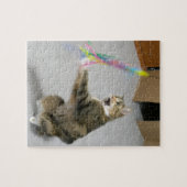 Katze greift das Teasertoy-Puzzle an Puzzle (Horizontal)