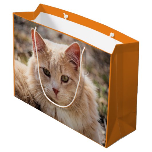 Katze Große Geschenktüte (Rückseite Schrägansicht)