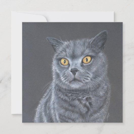 Katze Grußkarte. Feiertagskarte (Vorderseite)