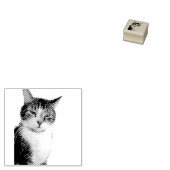 Katze Gummistempel (Stempel)