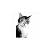 Katze Gummistempel (Prägung)